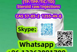 Sustanon 250(TP/TPP/TiC/TD) Steroid raw  57-85-2