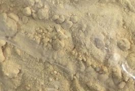 5cladba raw materialBuy 6cladba raw material/ K2…