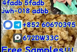 Supply low price 5cladba fast delivery