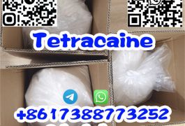 OEM 99.9% Purity Tetracaine/Tetracaina HCl Powder…