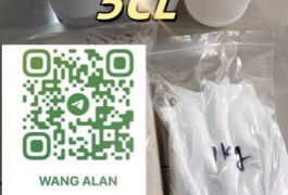 5cl abba 5cl 5cl adbb