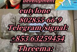 eutylone,CAS:802855-66-9,Early payment and early …