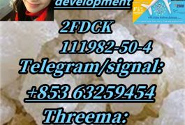 2FDCK,CAS:111982-50-4,hot sale(+853 63259454)