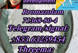 Bromazolam,71368-80-4(+853 63259454)