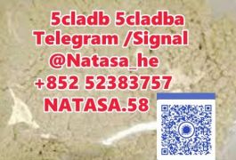 5CLADBA 5CL-ADB-A adbb  - 5cladb 5cl-adb China…