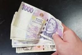 SOCIÁLNÍ FINANCOVÁNÍ
