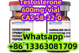 Testosterone 600mg/vial INJECTION CAS 58-22-0