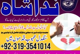 solve love problem by authentic amil baba in…
