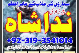 solve love problem by authentic amil baba in…