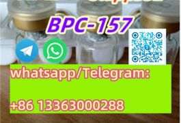 China BPC-157 Peptide CAS 137525-51-0