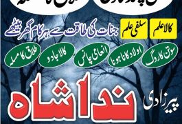 amil baba in peshawar GET your love back no 1…