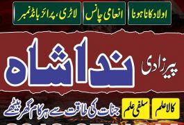 amil baba in peshawar GET your love back no 1…