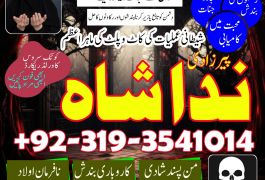 karachi #1 Amil baba in kuwait, dubai, italy,…